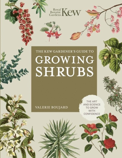 Valérie Boujard, Royal Botanic Gardens Kew - Kew Gardener's Guide to Growing Shrubs, E-bok