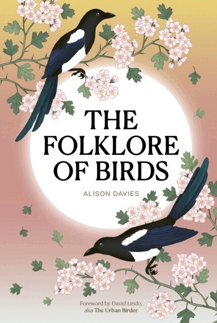 Alison Davies - Folklore of Birds, E-bok