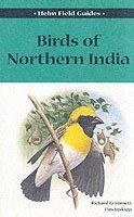 Richard Grimmett, Tim Inskipp - Birds of Northern India, Häftad