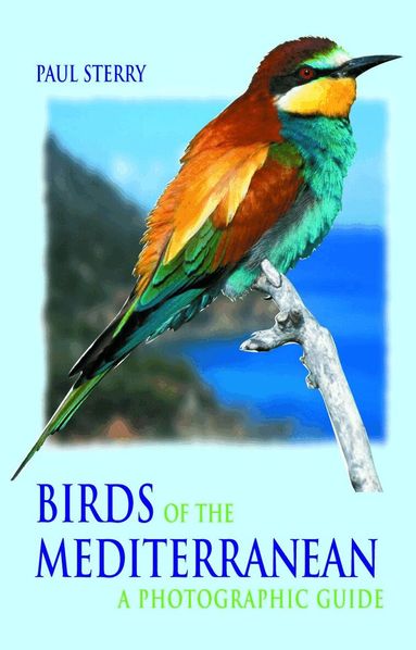 Paul Sterry - Birds of the Mediterranean, Häftad