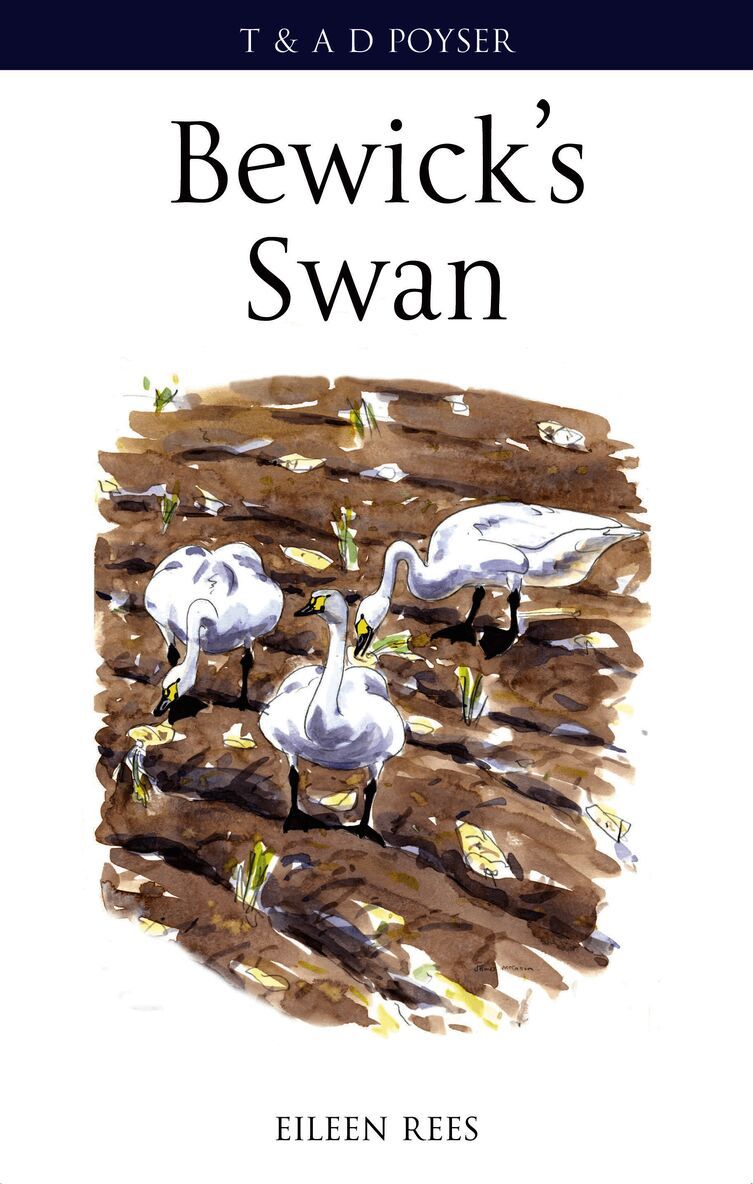 Eileen Rees - Bewick's Swan, Inbunden