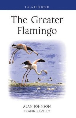 Alan Johnson, Frank Cézilly - Greater Flamingo, Inbunden