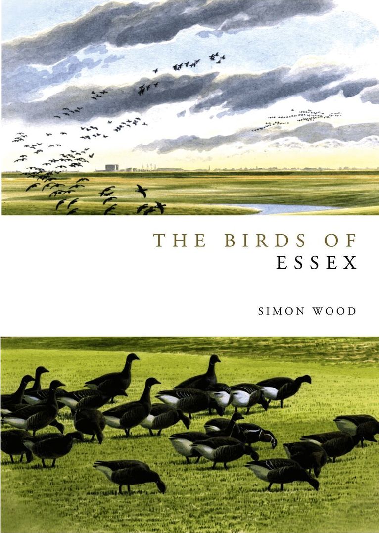 Simon Wood - Birds of Essex, Inbunden