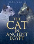 Cat in Ancient Egypt
