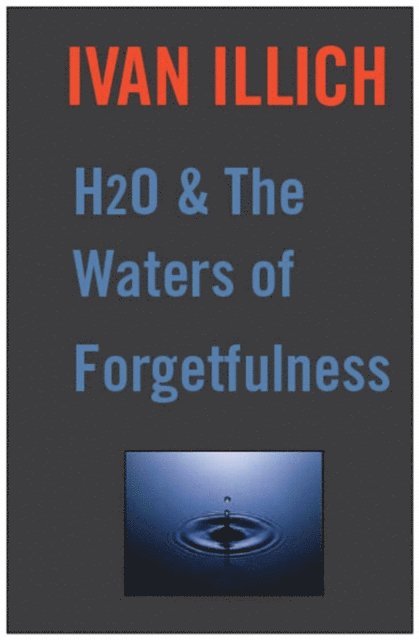 Ivan Illich - H20 and the Waters of Forgetfulness, E-bok