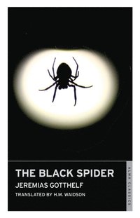 Black Spider