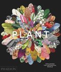 Plant, Exploring the Botanical World