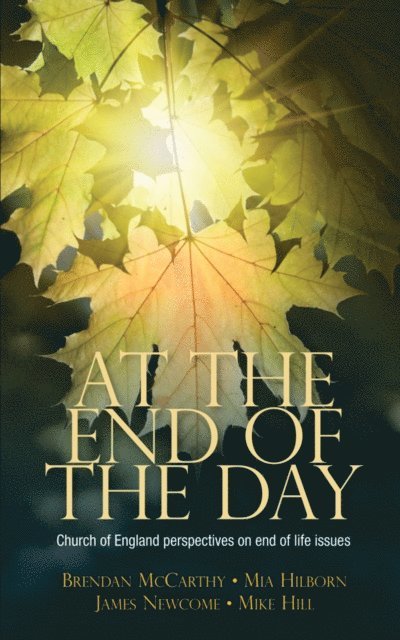 Brendan McCarthy - At the End of the Day, E-bok