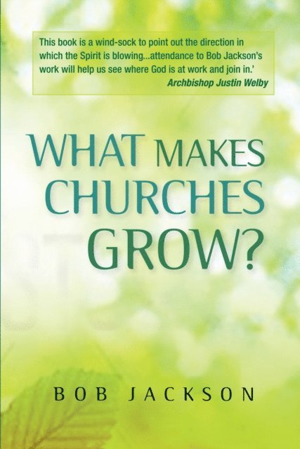 Bob Jackson - What Makes Churches Grow?, E-bok