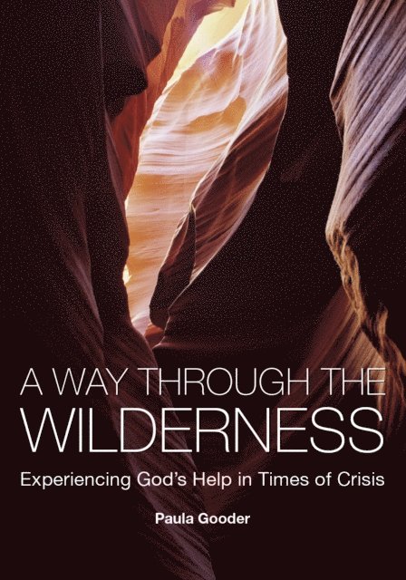 Paula Gooder - Way Through the Wilderness, E-bok