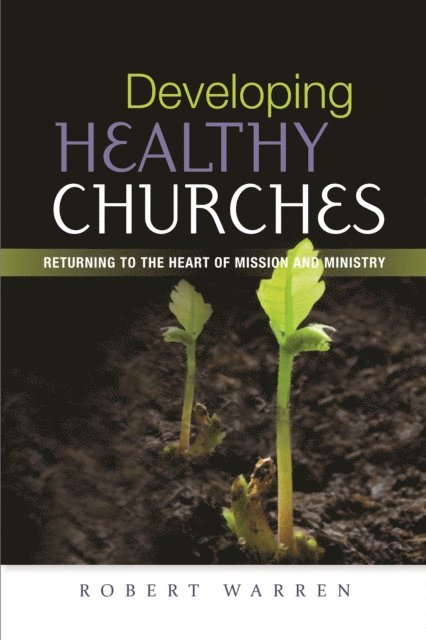 Robert Warren - Developing Healthy Churches, E-bok