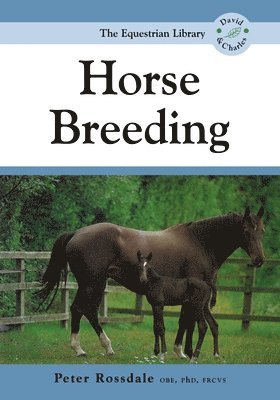 Peter Rossdale - Horse Breeding, Häftad. Tillgänglighet: Lägg i varukorg