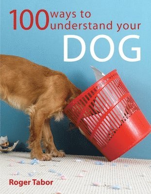 Roger Tabor - 100 Ways to Understand Your Dog, Häftad. Tillgänglighet: Lägg i varukorg
