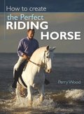 How to Create the Perfect Riding Horse