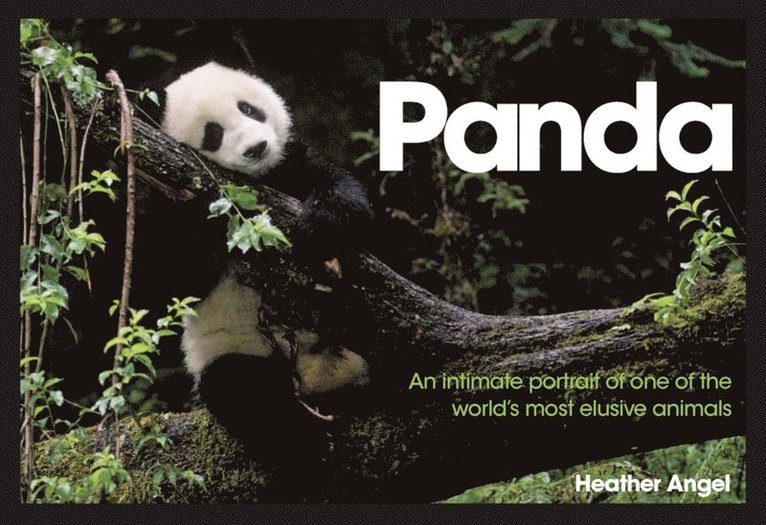 Heather Angel - Panda, E-bok. Tillgänglighet: Lägg i varukorg