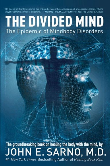 Divided Mind