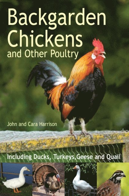 Backgarden Chickens and Other Poultry