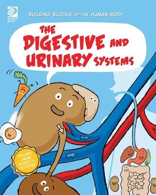 Joseph Midthun - Digestive and Urinary Systems, Häftad