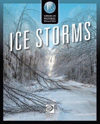 World Book - Ice Storms, Häftad