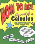 How to Ace the Rest of Calculus