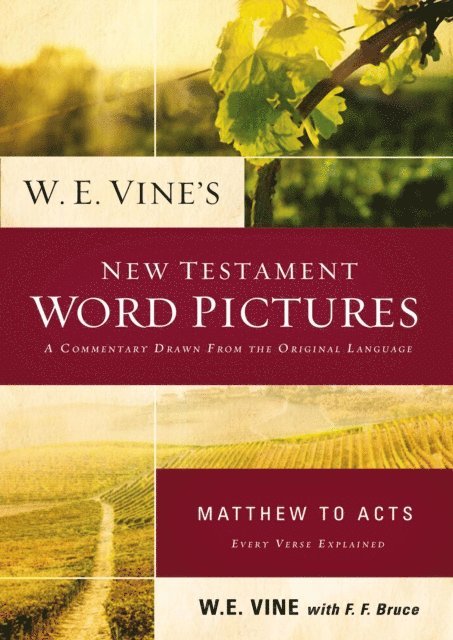 W. E. Vine - W. E. Vine's New Testament Word Pictures: Matthew to Acts, E-bok