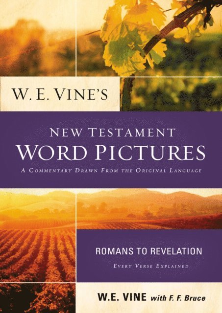 W. E. Vine - W. E. Vine's New Testament Word Pictures: Romans to Revelation, E-bok