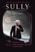 Sully: Hazaa En El Hudson