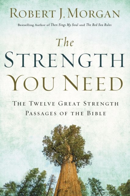 Robert J. Morgan - Strength You Need, E-bok