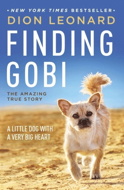Dion Leonard - Finding Gobi, E-bok