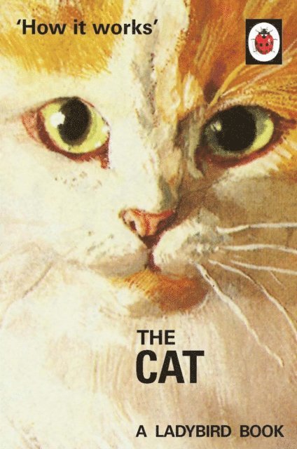 Jason Hazeley, Joel Morris - How it Works: The Cat, E-bok