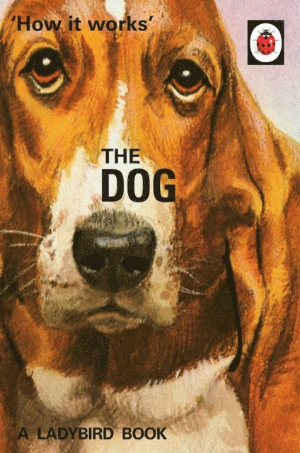 Jason Hazeley, Joel Morris - How it Works: The Dog, E-bok