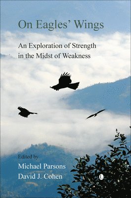 David J. Cohen, Michael Parsons - On Eagles' Wings, Häftad