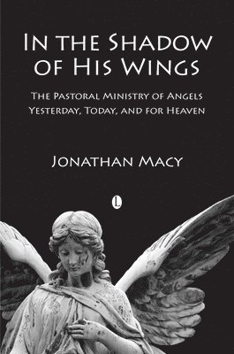 Jonathan Macy - In the Shadow of his Wings, Häftad. Tillgänglighet: Lägg i varukorg