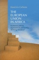 European Union in Africa by Maurizio Carbone