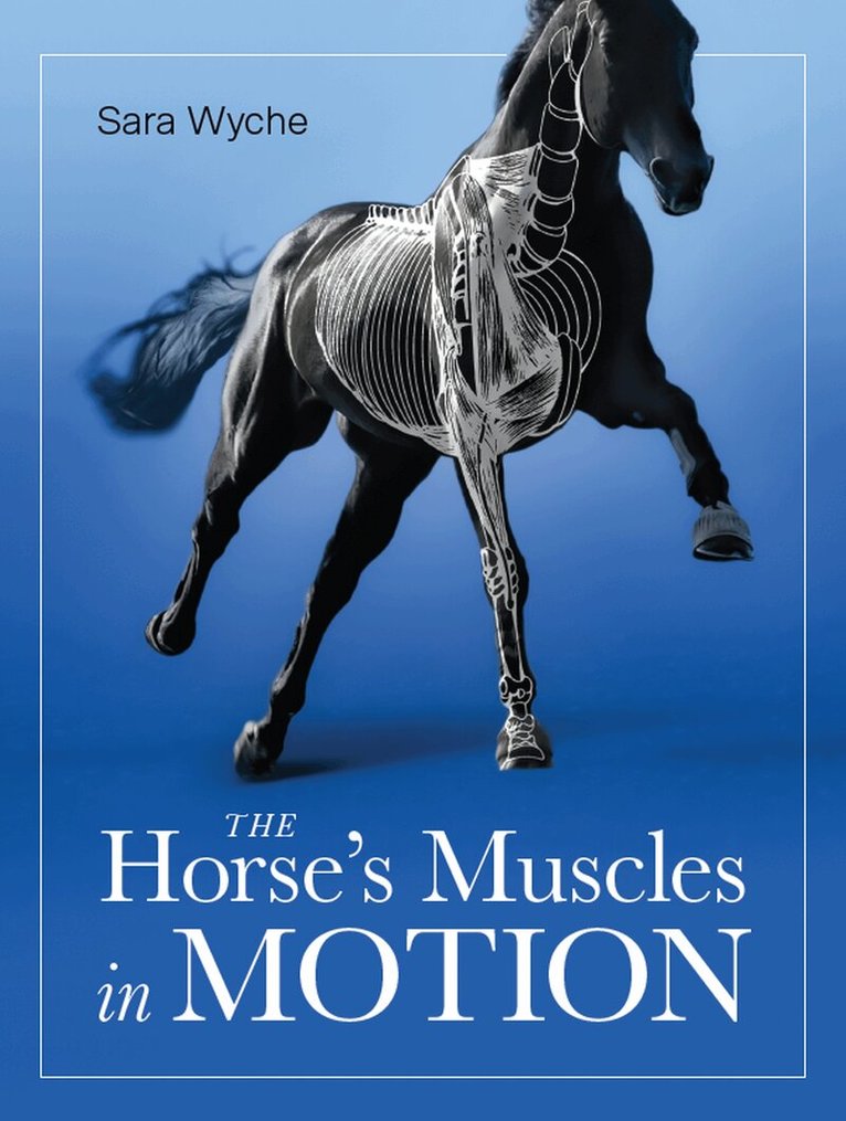 Sara Wyche - Horse's Muscles in Motion, Häftad