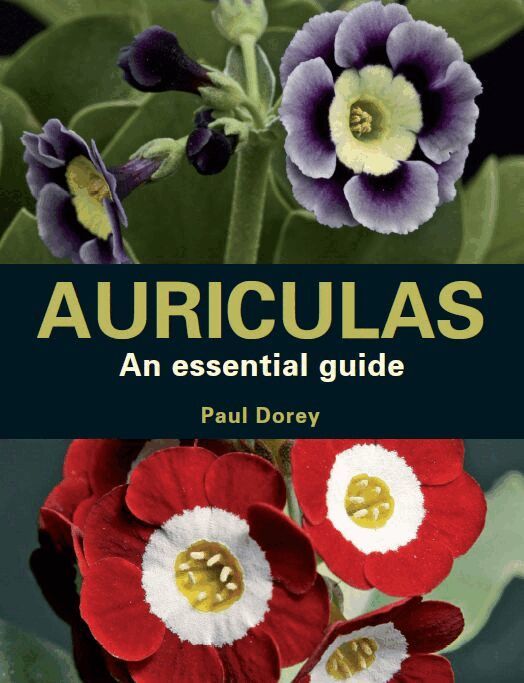 Paul Dorey - Auriculas, Häftad