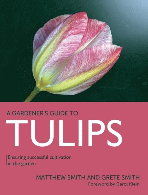 Grete Smith, Matthew Smith - Tulips, E-bok