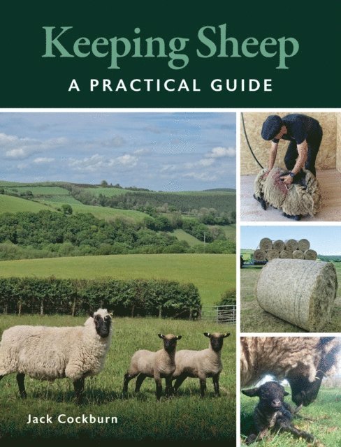 Jack Cockburn - Keeping Sheep, E-bok