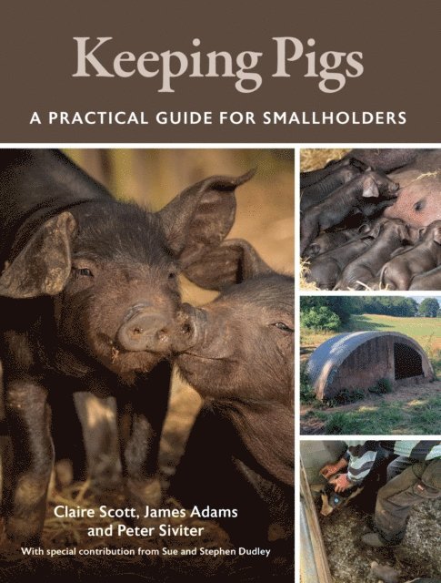 Peter Siviter, James Adams, Claire Scott - Keeping Pigs, E-bok