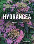 Hydrangea