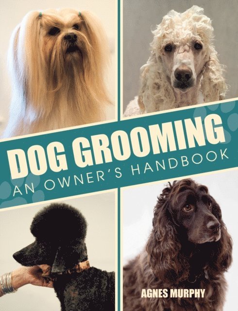 Dog Grooming
