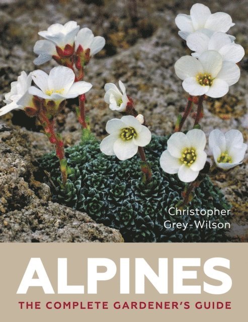 Christopher Grey Wilson - Alpines, E-bok