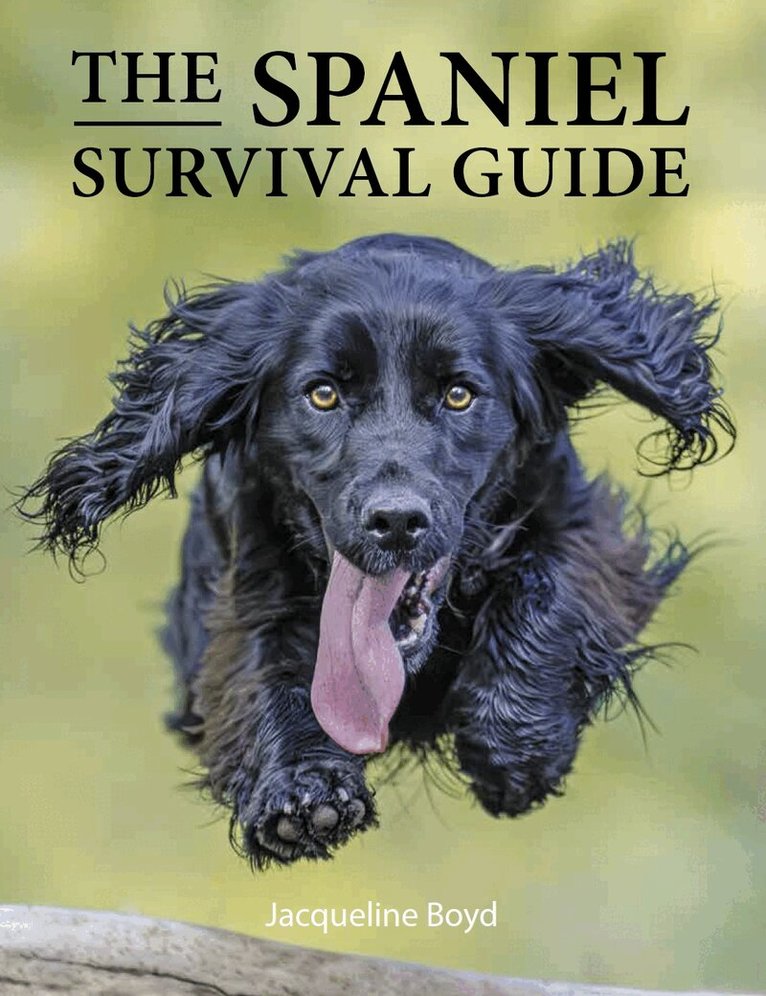 Jacqueline Boyd - Spaniel Survival Guide, Häftad. Tillgänglighet: Lägg i varukorg