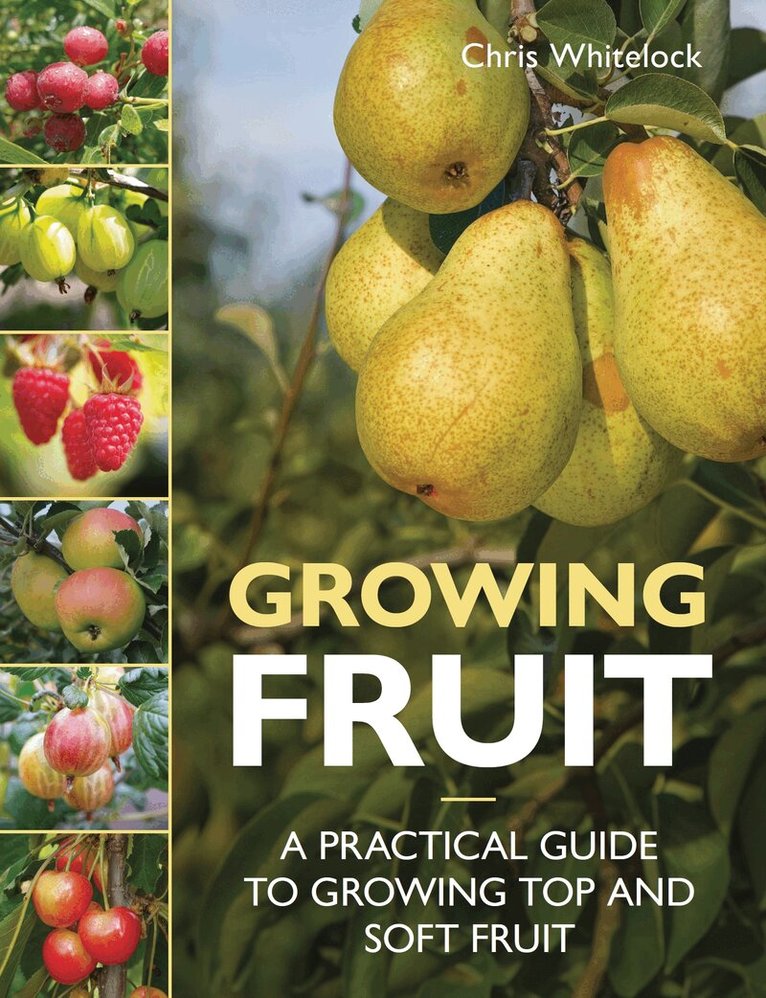 Chris Whitelock - Growing Fruit, Häftad. Tillgänglighet: Lägg i varukorg