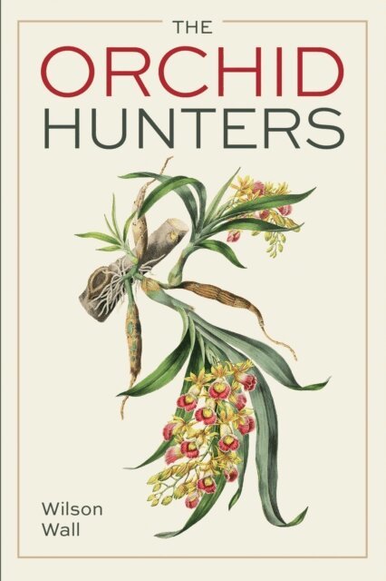 Wilson Wall - Orchid Hunters, E-bok