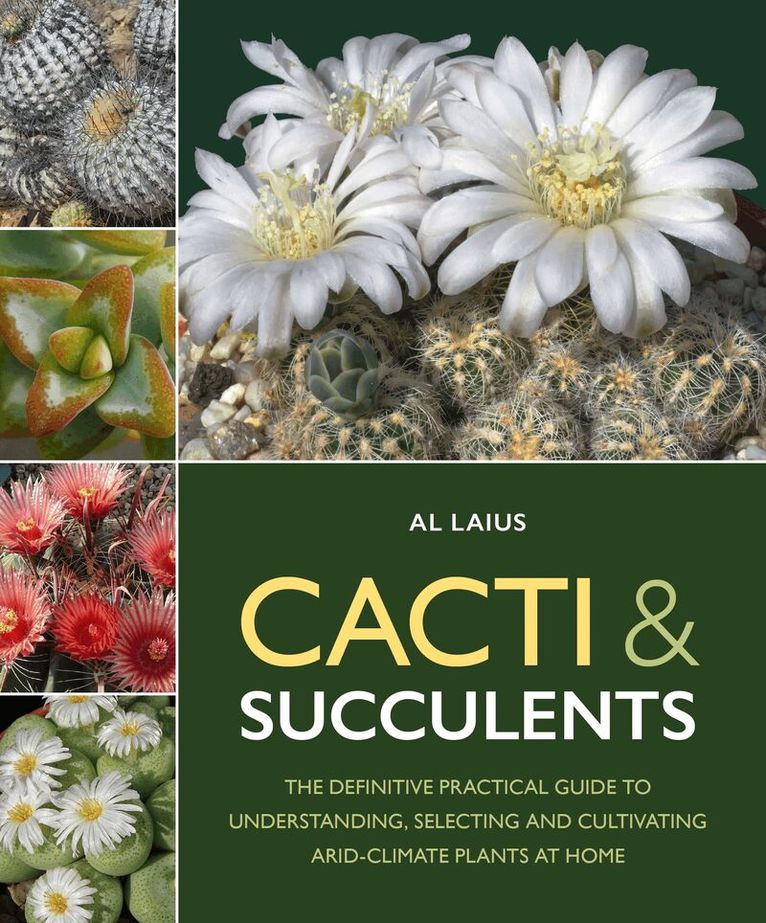 Cacti & Succulents