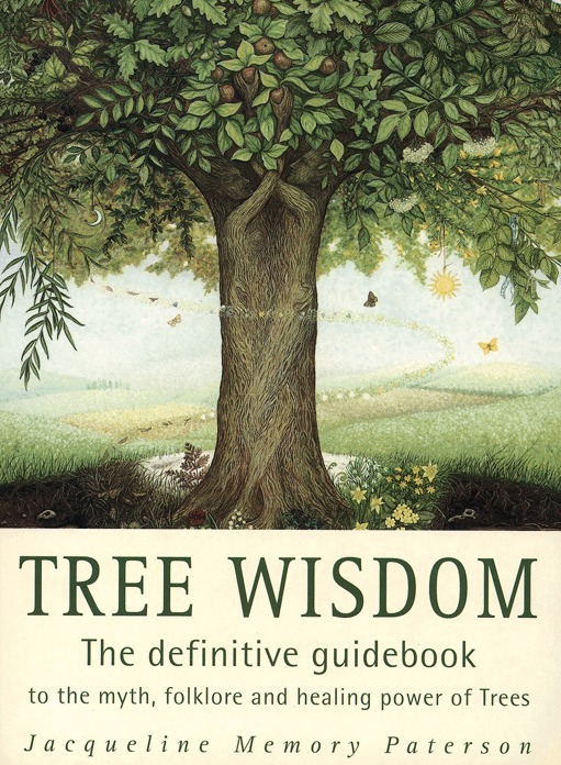 Jacqueline Memory Paterson - Tree Wisdom, Häftad