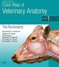 Color Atlas of Veterinary Anatomy, Volume 1, The Ruminants E-Book