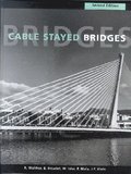 Cable Stayed Bridges