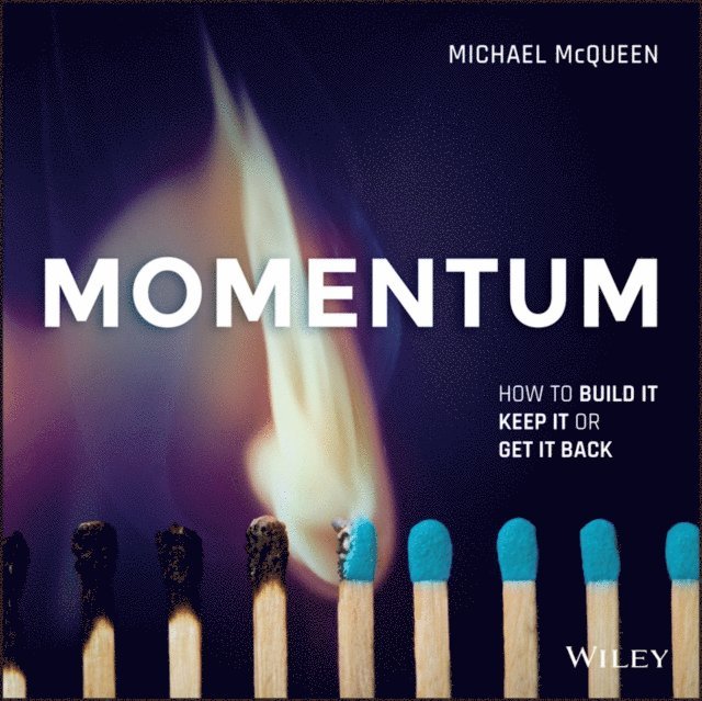 Michael McQueen - Momentum, E-bok